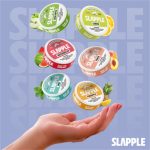 SLAPPLE NICOTINE GUM 2MG C/40